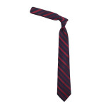 Navy Blue & Red Striped Broad Tie